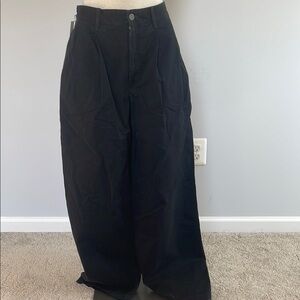 Aritzia Black Pants